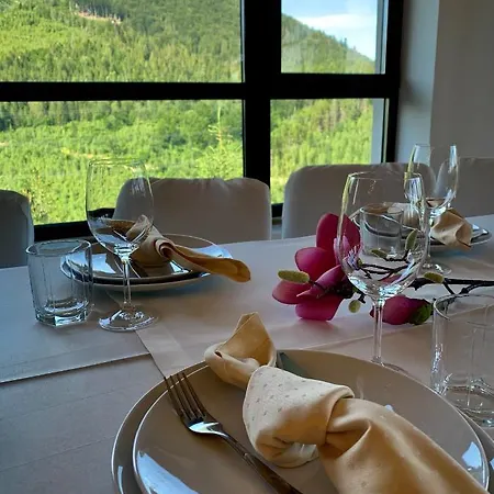 Карпатський Затишок Holiday park