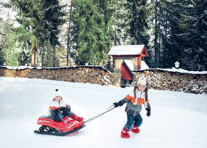 карпатський затишок Feriepark