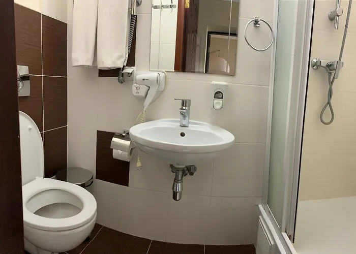 Карпатський Затишок Slavske